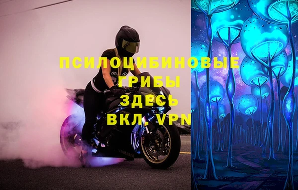 гашиш Арсеньев