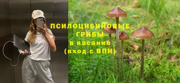 ГАЛЛЮЦИНОГЕННЫЕ ГРИБЫ Армянск